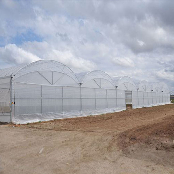 Multi Span  Film Agricultural Greenhouse vegetable farm growth house fruit planting multi span greenhouse Global Wholesale Market Operations