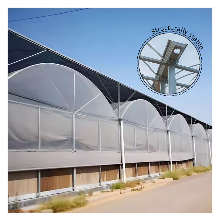 Multi Span Film Greenhouse Turnkey Solution Agricultural Tomato Hydroponics Green House For Sale