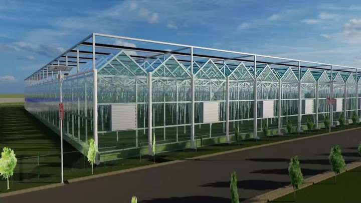 Multi-Span  Greenhouse  Hot Dip Galvanized Steel Frame Economical for Plant Agriculture glass greenhouse