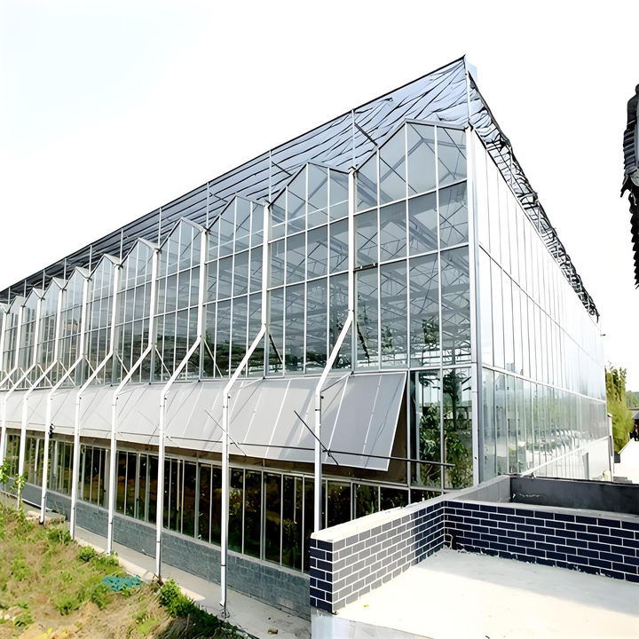 Multi-Span  Greenhouse  Hot Dip Galvanized Steel Frame Economical for Plant Agriculture glass greenhouse