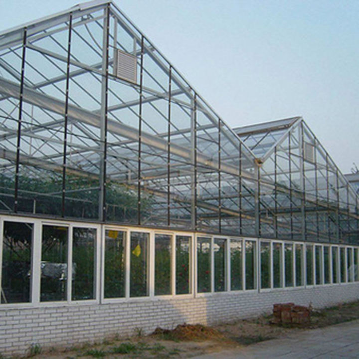 Multi-Span  Greenhouse  Hot Dip Galvanized Steel Frame Economical for Plant Agriculture glass greenhouse