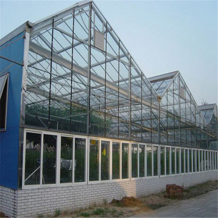 Multi-Span  Greenhouse  Hot Dip Galvanized Steel Frame Economical for Plant Agriculture glass greenhouse