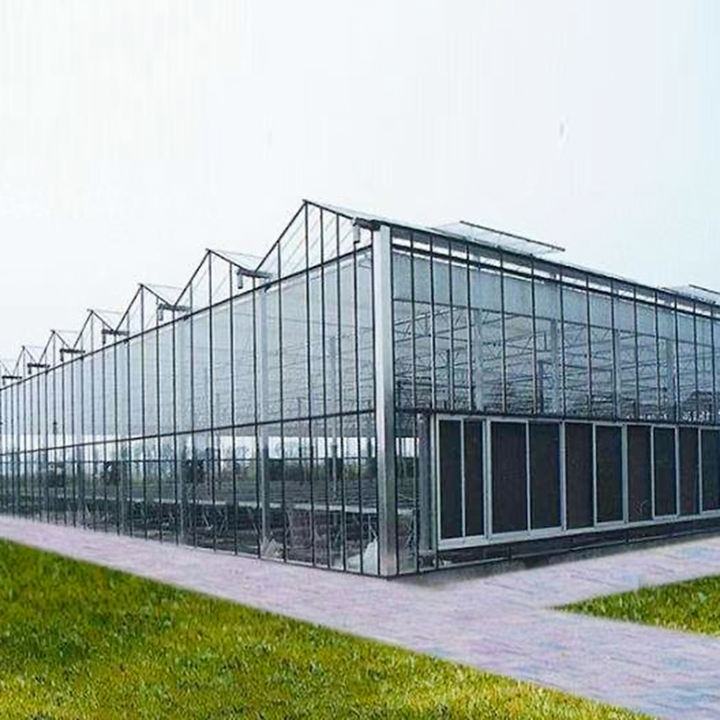 Multi-Span  Greenhouse  Hot Dip Galvanized Steel Frame Economical for Plant Agriculture glass greenhouse