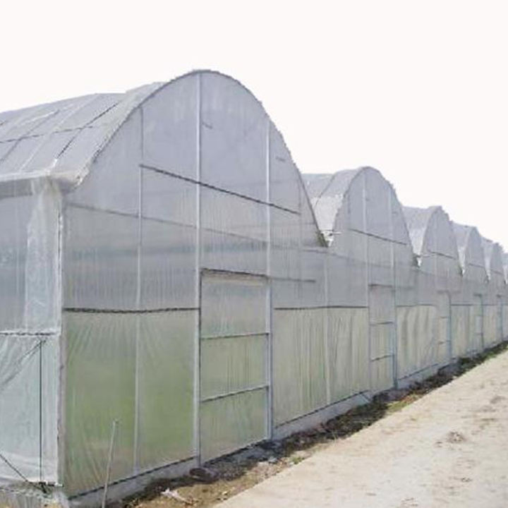 Multi Span Greenhouse Plastic Film  Agricultural Galvanized Frame  Film Greenhouse  Multi Span Greenhouse