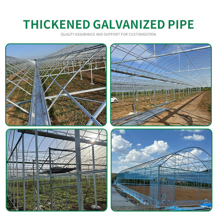 Multi Span Greenhouse Plastic Film  Agricultural Galvanized Frame  Film Greenhouse  Multi Span Greenhouse