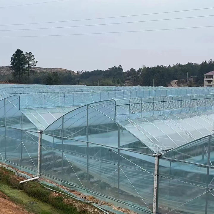 Multi Span Pe Greenhouses Film/Greenhouse Covering/Agricultural Plastic Greenhouse Film For Sale Agriculture Low Cost Tunnel Global Wholesale Market