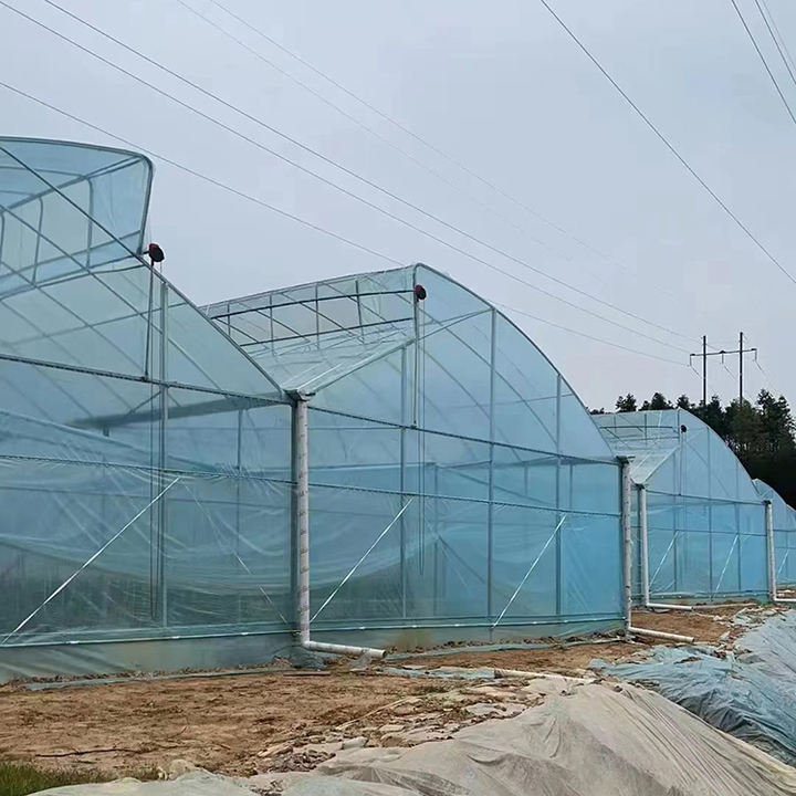 Multi Span Pe Greenhouses Film/Greenhouse Covering/Agricultural Plastic Greenhouse Film For Sale Agriculture Low Cost Tunnel Global Wholesale Market