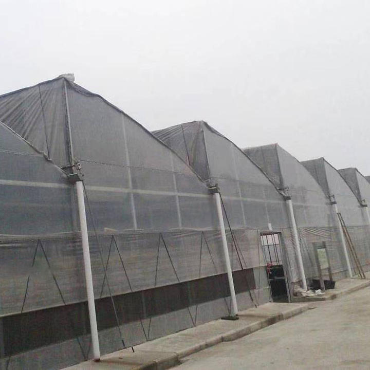 Multi Span Pe Greenhouses Film/Greenhouse Covering/Agricultural Plastic Greenhouse Film For Sale Agriculture Low Cost Tunnel Global Wholesale Market