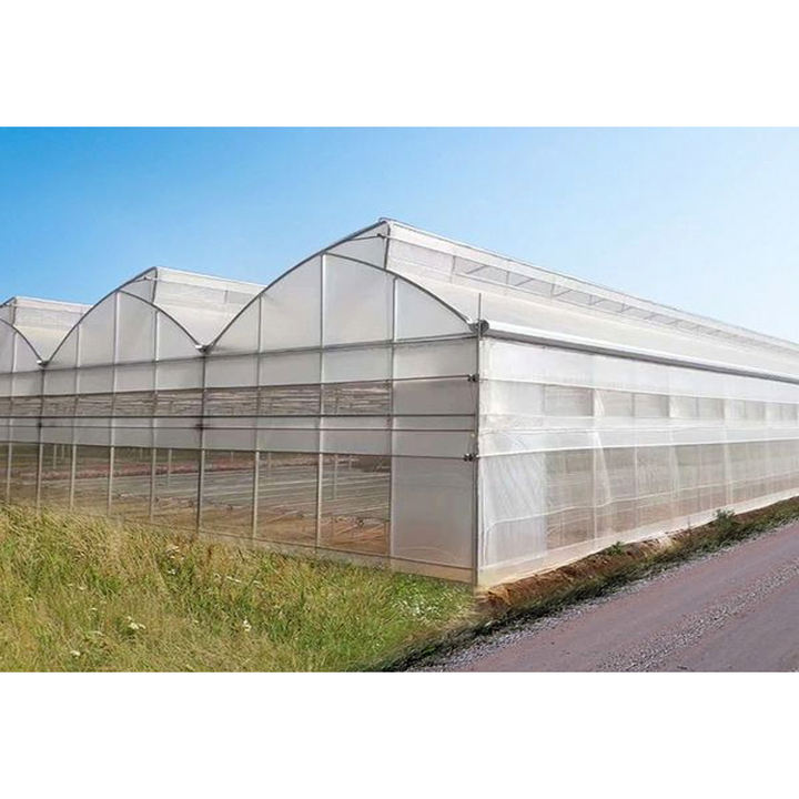 Multi-Span Winter Agricultural film Greenhouse vegetable seeding agricultural frame film multi span strawberry greenhouse China Bulk Supplier