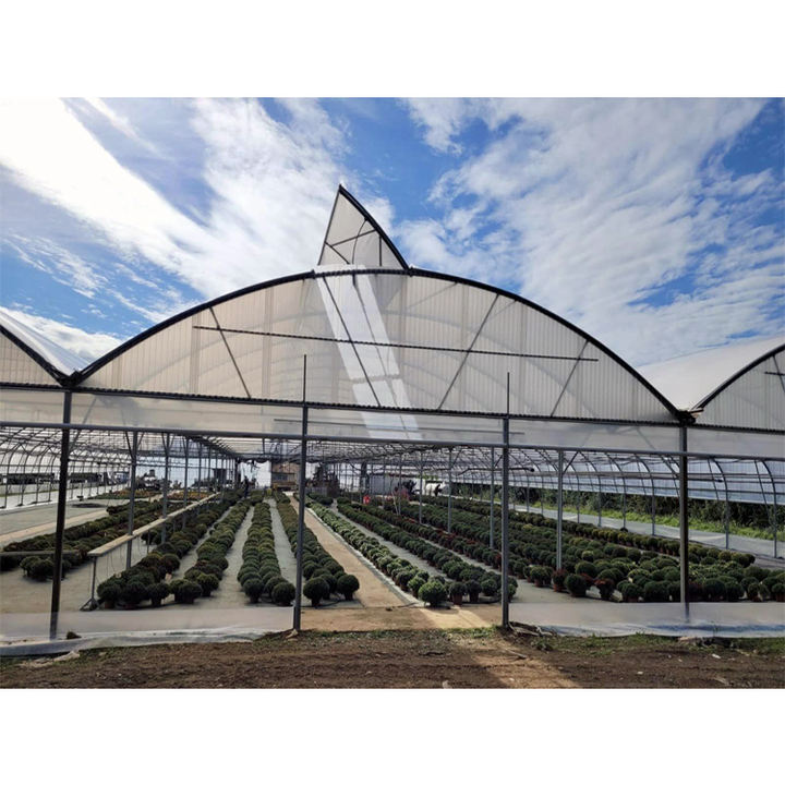 Multi-Span Winter Agricultural film Greenhouse vegetable seeding agricultural frame film multi span strawberry greenhouse China Bulk Supplier