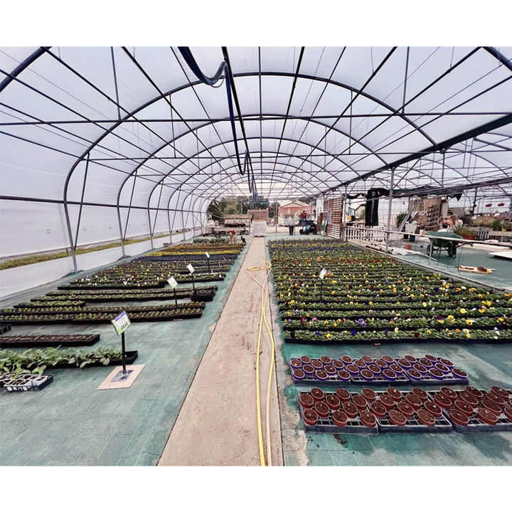 Multi-Span Winter Agricultural film Greenhouse vegetable seeding agricultural frame film multi span strawberry greenhouse China Bulk Supplier