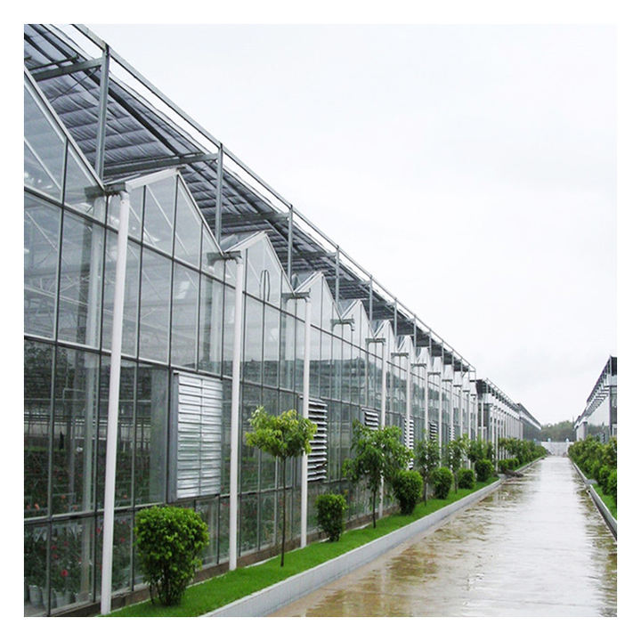 Multi-span  Greenhouse Supply Textured Smart Glass Greenhouse Engineering Agricultural green house With Hydroponic