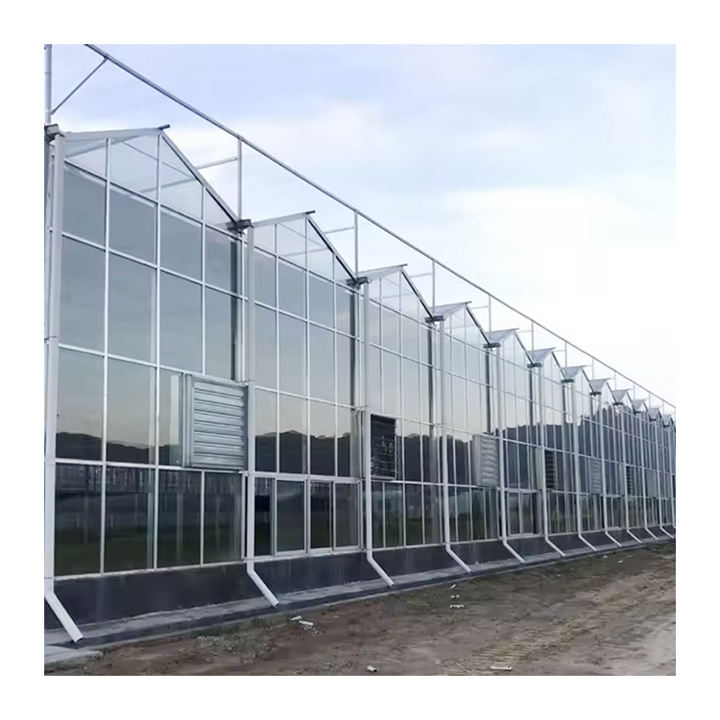 Multi-span  Greenhouse Supply Textured Smart Glass Greenhouse Engineering Agricultural green house With Hydroponic