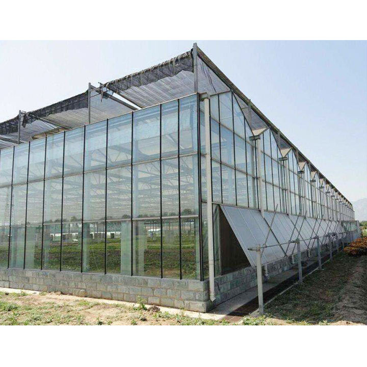 Multi-span  Greenhouse Supply Textured Smart Glass Greenhouse Engineering Agricultural green house With Hydroponic