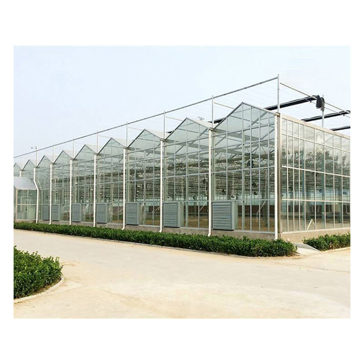 Multi-span  Greenhouse Supply Textured Smart Glass Greenhouse Engineering Agricultural green house With Hydroponic