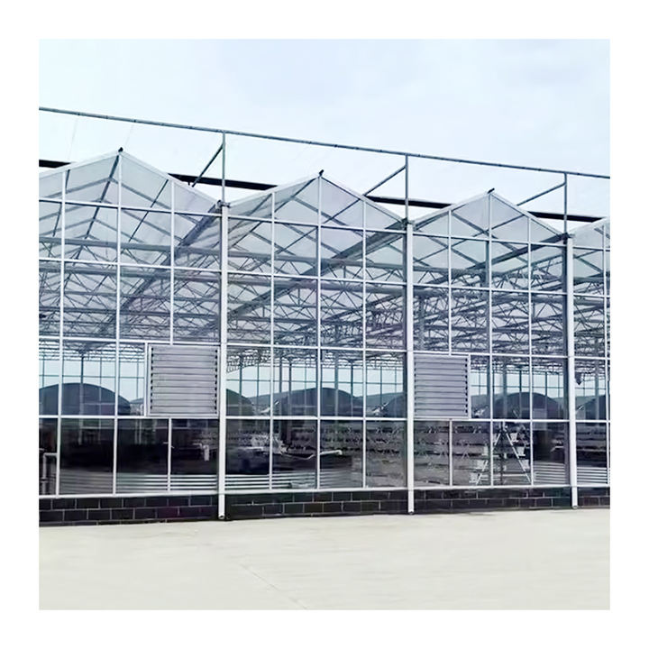 Multi-span  Greenhouse Supply Textured Smart Glass Greenhouse Engineering Agricultural green house With Hydroponic