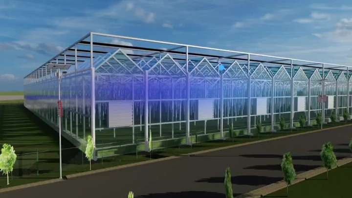 Multi-span greenhouse  fish farm Agricultural  Greenhouse Agricultural Commercial Greenhouse green houses agriculture commercial