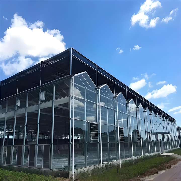 Multi-span greenhouse  fish farm Agricultural  Greenhouse Agricultural Commercial Greenhouse green houses agriculture commercial