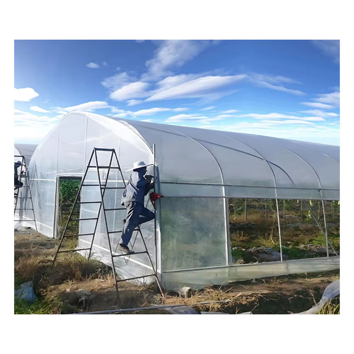 Polycarbonate High Tunnel Film Single Span Pe Greenhouses Low Cost Hot Sale Polytunnel agricultural greenhouses price  for sale