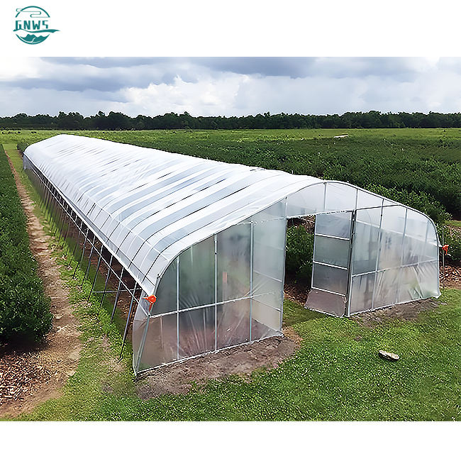 Polycarbonate High Tunnel Film Single Span Pe Greenhouses Low Cost Hot Sale Polytunnel agricultural greenhouses price  for sale