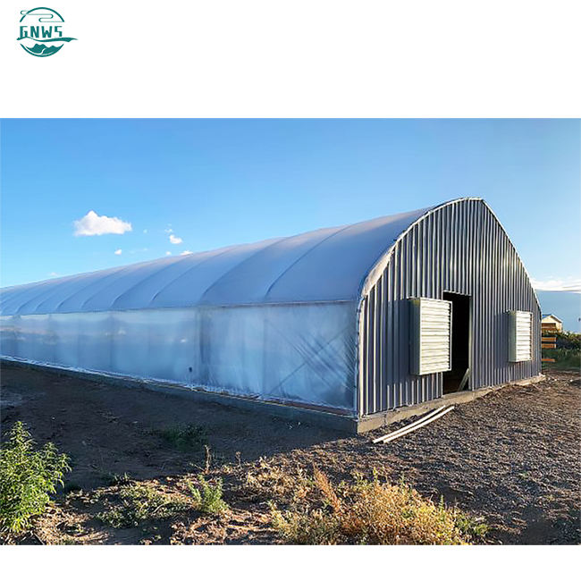 Polycarbonate High Tunnel Film Single Span Pe Greenhouses Low Cost Hot Sale Polytunnel agricultural greenhouses price  for sale