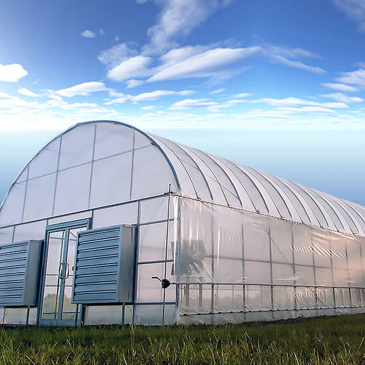 Polycarbonate High Tunnel Film Single Span Pe Greenhouses Low Cost Hot Sale Polytunnel agricultural greenhouses price  for sale