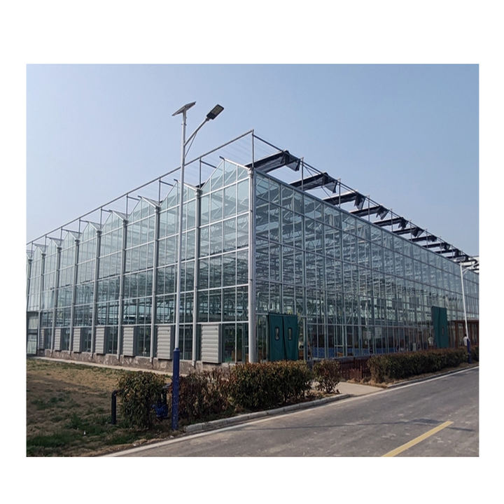 Prefab Glass Greenhouse Tempered Greenhouse Mesh Irrigation System Multi span Venlo Glass Agricultural Greenhouse