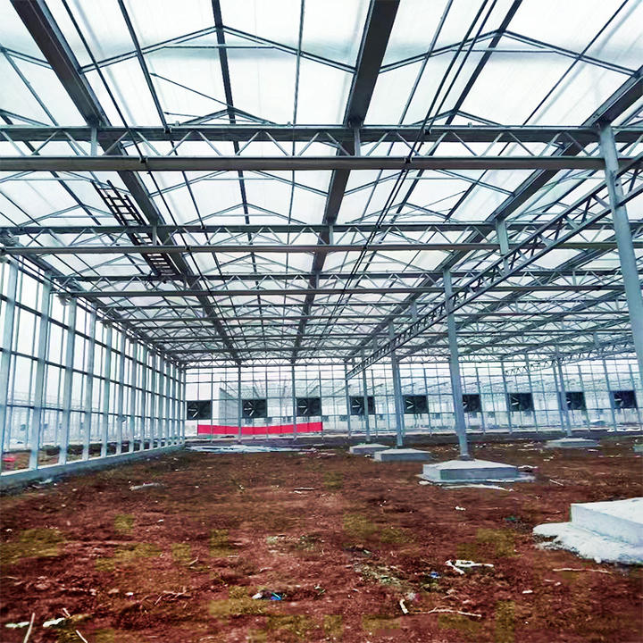 Prefab Glass Greenhouse Tempered Greenhouse Mesh Irrigation System Multi span Venlo Glass Agricultural Greenhouse