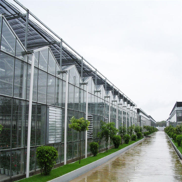 Prefab Glass Greenhouse Tempered Greenhouse Mesh Irrigation System Multi span Venlo Glass Agricultural Greenhouse