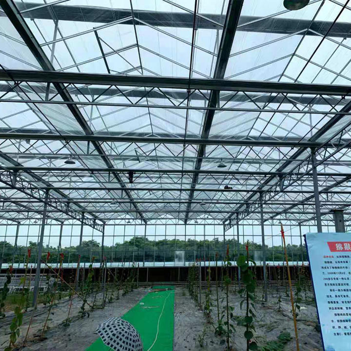 Prefab Glass Greenhouse Tempered Greenhouse Mesh Irrigation System Multi span Venlo Glass Agricultural Greenhouse