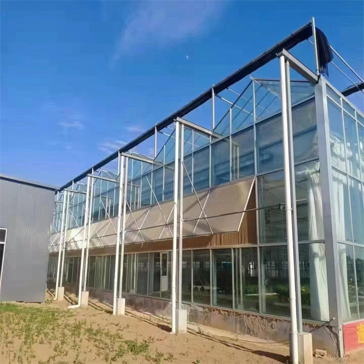 Prefab Glass Greenhouse Tempered Greenhouse Mesh Irrigation System Multi span Venlo Glass Agricultural Greenhouse