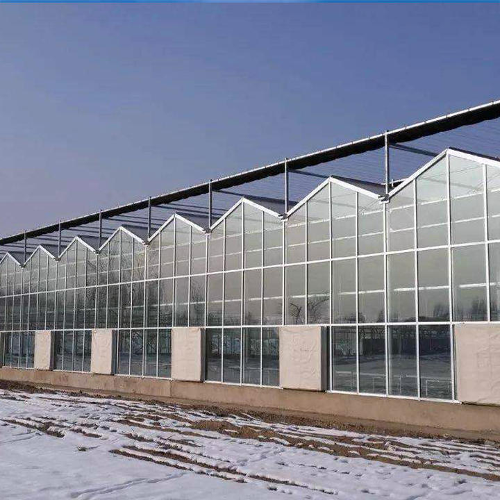 Prefab Glass Greenhouse Tempered Greenhouse Mesh Irrigation System Multi span Venlo Glass Agricultural Greenhouse