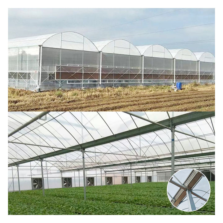 Sale Green House Metal Frame Plastic Film Multi-Span Greenhouse Agricultural/Commercial Green House Greenhouse Chinese Wholesale Supplier