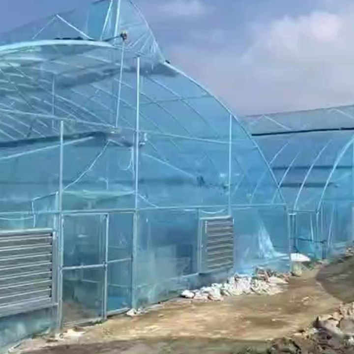 Serre agricole Plastic film agricultural  system multi-span  China Factory Export Cheap Greenhouse Structure Green House China Factory Direct Production