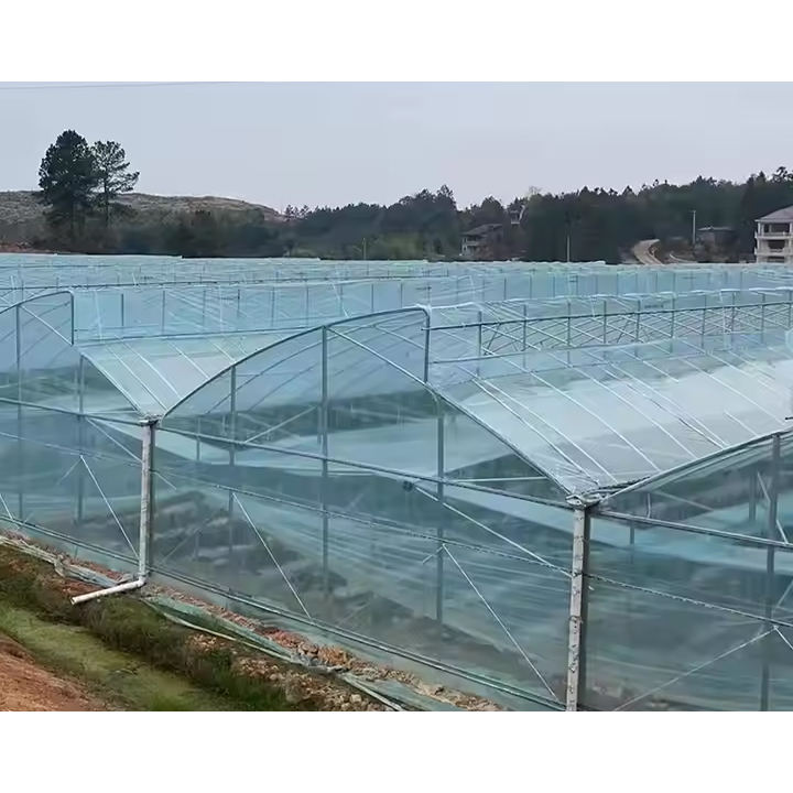 Serre agricole Plastic film agricultural  system multi-span  China Factory Export Cheap Greenhouse Structure Green House China Factory Direct Production