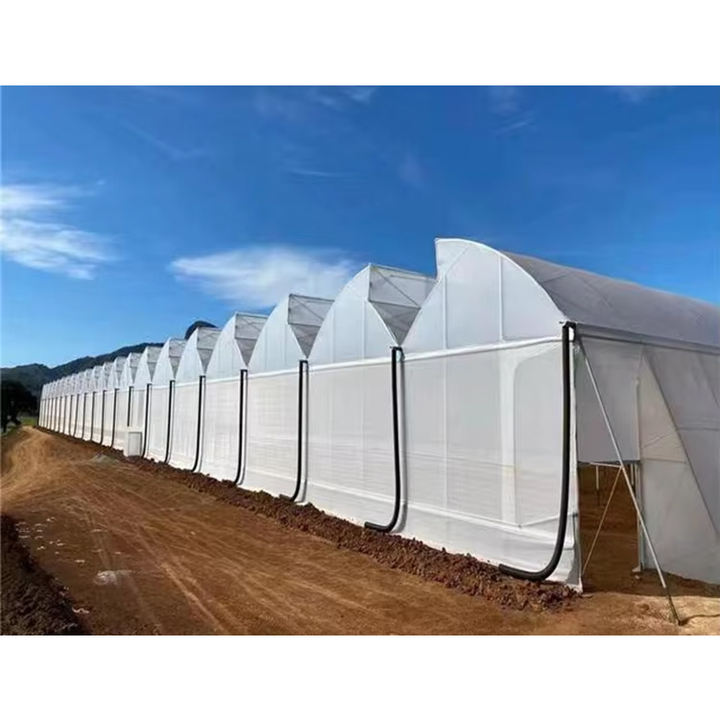 Serre agricole Plastic film agricultural  system multi-span  China Factory Export Cheap Greenhouse Structure Green House China Factory Direct Production