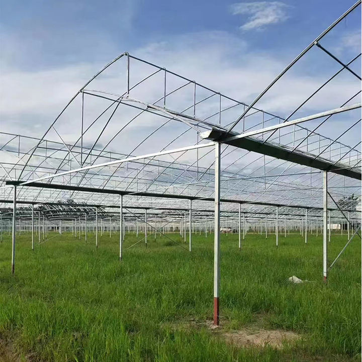 Serre agricole Plastic film agricultural  system multi-span  China Factory Export Cheap Greenhouse Structure Green House China Factory Direct Production