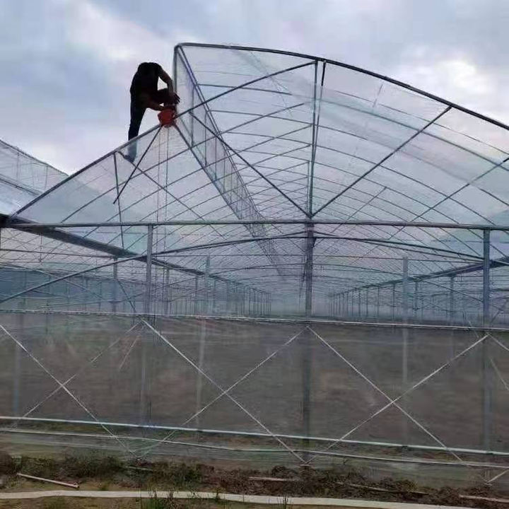 Serre agricole Plastic film agricultural  system multi-span  China Factory Export Cheap Greenhouse Structure Green House China Factory Direct Production
