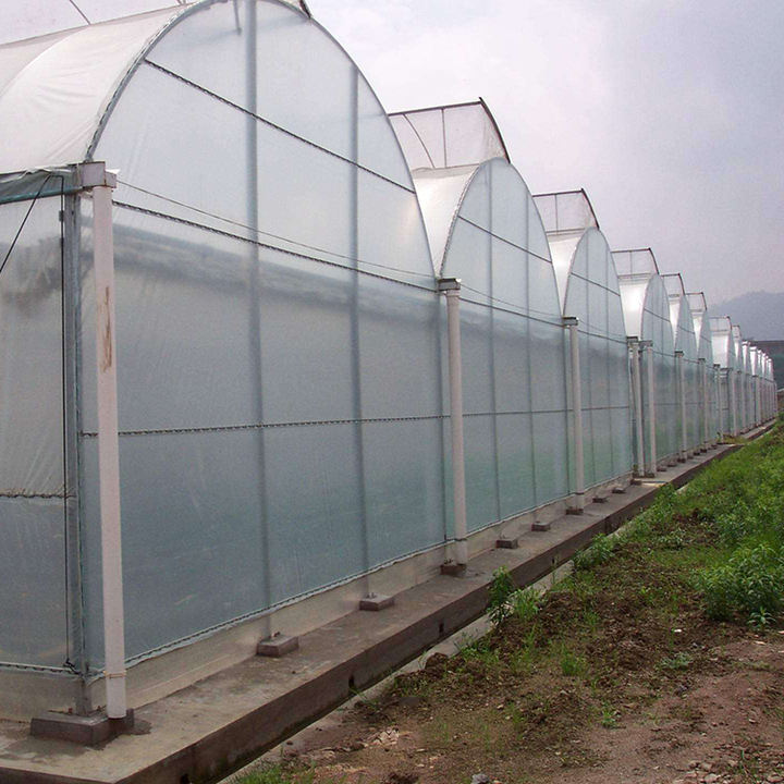 Serre agricole Plastic film agricultural  system multi-span  China Factory Export Cheap Greenhouse Structure Green House China Factory Direct Production