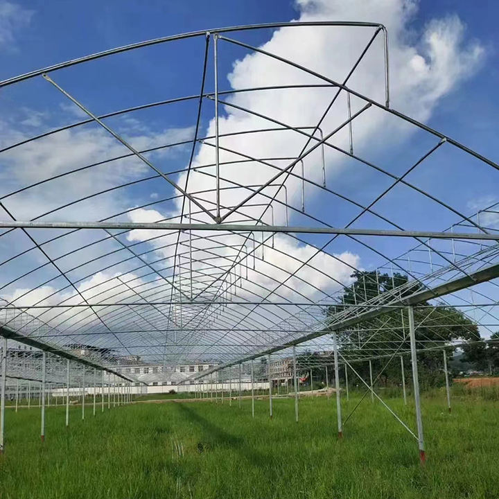 Serre agricole Plastic film agricultural  system multi-span  China Factory Export Cheap Greenhouse Structure Green House China Factory Direct Production