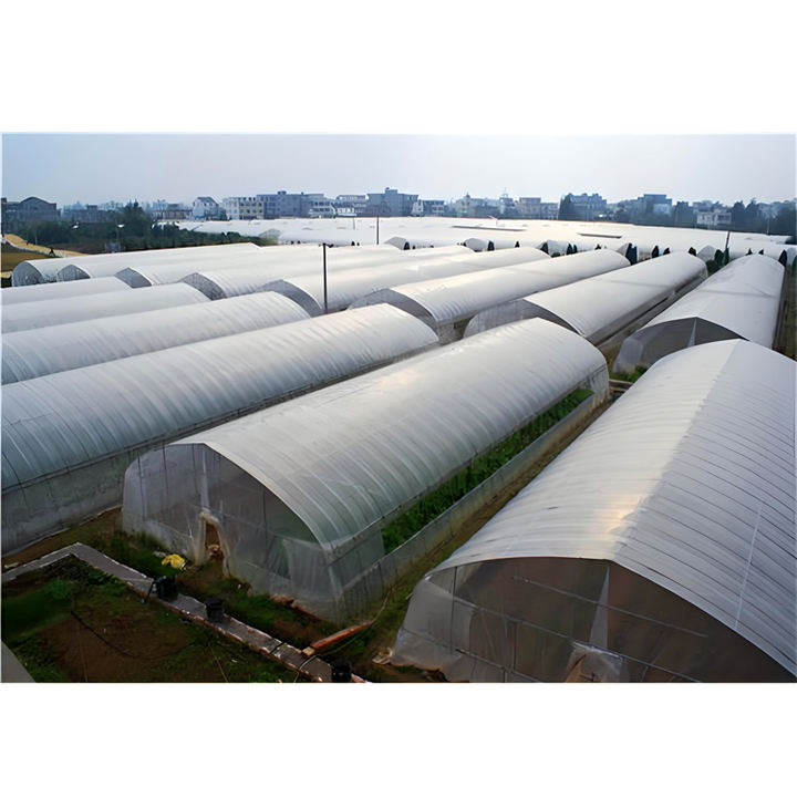 Single Span Film Greenhouse for agriculture tunnel  aluminum winter vegetable hot galvanized steel frame Single Span Greenhouse Rapid Production Solutions Trade