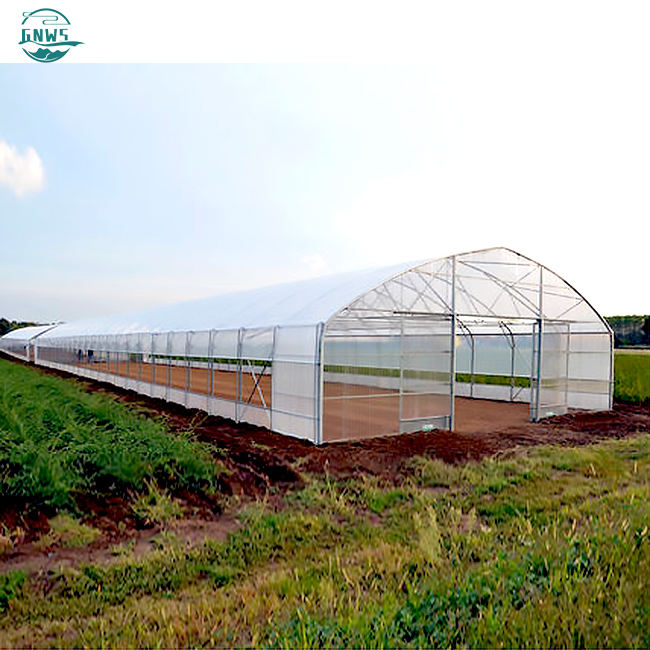 Single-span Agricultural full spectrum plant growth lamp low house in a green house