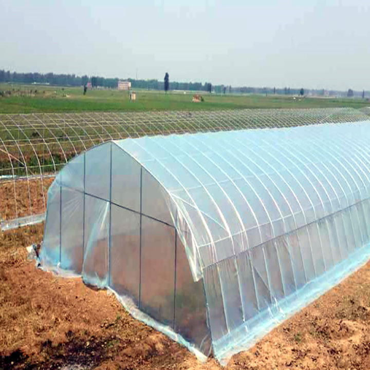 Single-span Agricultural full spectrum plant growth lamp low house in a green house