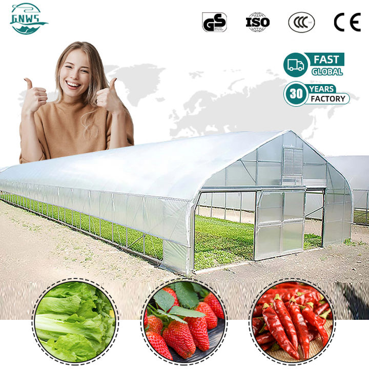 Single span tomato poly tunnel greenhouse large elevated agricultural greenhouse frame for sale Wholesale Factory Customization