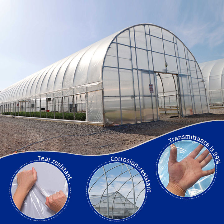 Single span tomato poly tunnel greenhouse large elevated agricultural greenhouse frame for sale Wholesale Factory Customization