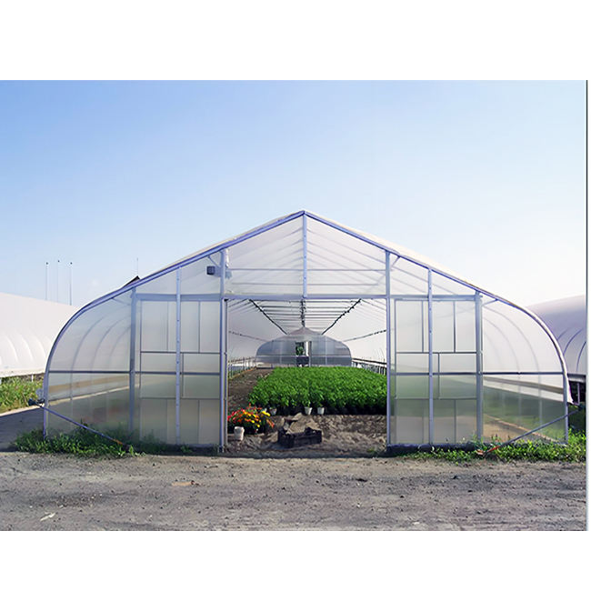 Small 10*30m Double-Layer Intelligent Greenhouse Agriculture Economic Hydroponic PE Stable Galvanized Steel Frame Garden Plants Industrial Supplier