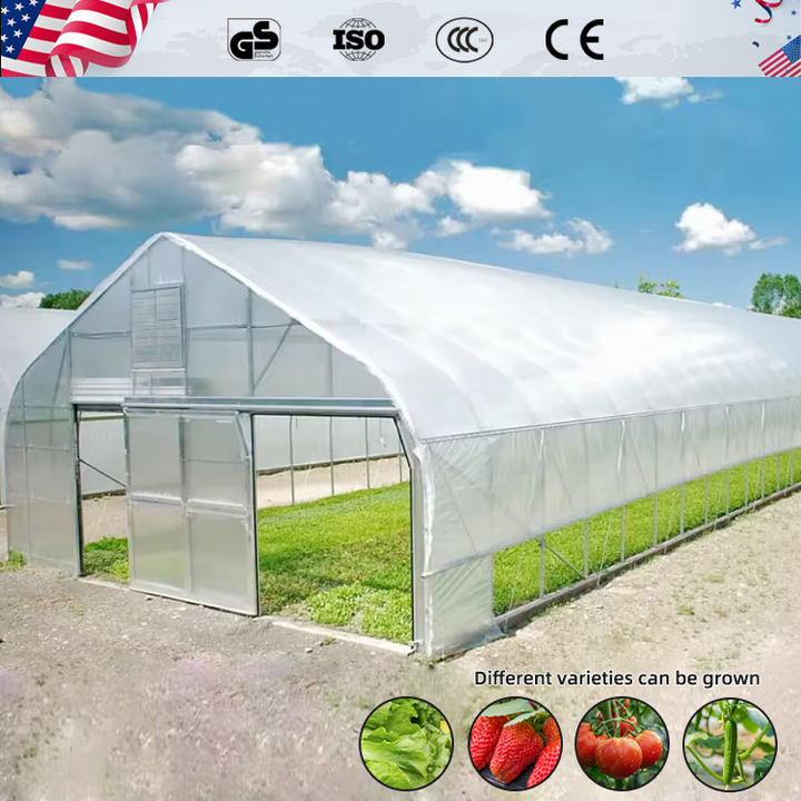 Small 10*30m Double-Layer Intelligent Greenhouse Agriculture Economic Hydroponic PE Stable Galvanized Steel Frame Garden Plants Industrial Supplier