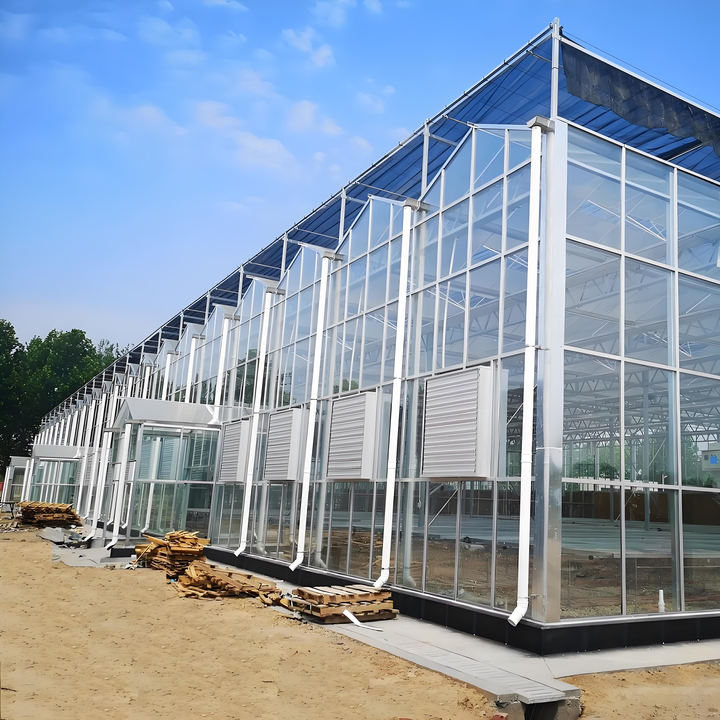 Smart Agricultural Multi-Span Venlo Glass Greenhouse Solar Photovoltaic  Greenhouse vegetable  fruit planting glass greenhouse Wholesale Manufacturer