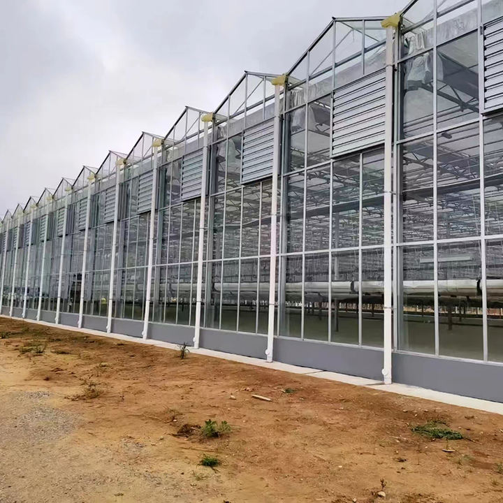 Smart Agricultural Multi-Span Venlo Glass Greenhouse Solar Photovoltaic  Greenhouse vegetable  fruit planting glass greenhouse Wholesale Manufacturer