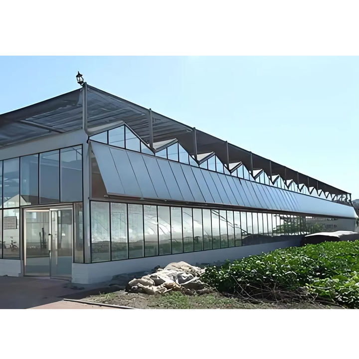 Solar-Powered Large and Small Agricultural Greenhouses Galvanized Steel Frame with PE Film Glass Cover for Plant Usage